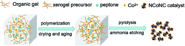 Graphical abstract: Enhanced electrocatalytic performance of N-doped carbon xerogels obtained through dual nitrogen doping for the oxygen reduction reaction