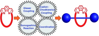 Graphical abstract: Phenanthroline based rotaxanes: recent developments in syntheses and applications