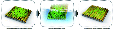 Graphical abstract: Enhanced detection sensitivity through enzyme-induced precipitate accumulation in LSPR-active nano-valleys