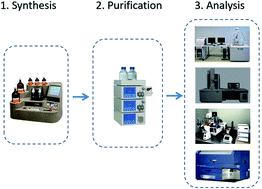 Graphical abstract: Intracellular mechanism of antimicrobial peptide HJH-3 against Salmonella pullorum