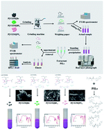 Graphical abstract: Hydrogen bonds-triggered differential extraction efficiencies for bifenthrin by three polymeric ionic liquids with varying anions based on FT-IR spectroscopy