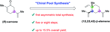 Graphical abstract: Asymmetric total synthesis of (1S,2S,4S)-β-elemene