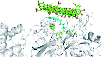 Graphical abstract: A new insight into the transfer and delivery of anti-SARS-CoV-2 drug Carmofur with the assistance of graphene oxide quantum dot as a highly efficient nanovector toward COVID-19 by molecular dynamics simulation