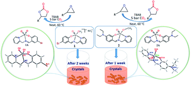 Graphical abstract: Synthesis, characterization and application of oxovanadium(iv) complexes with [NNO] donor ligands: X-ray structures of their corresponding dioxovanadium(v) complexes