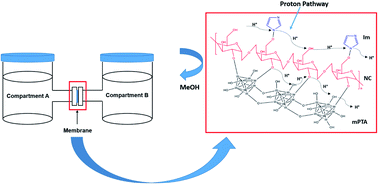 Graphical abstract: Utilization of mesoporous phosphotungstic acid in nanocellulose membranes for direct methanol fuel cells