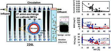 Graphical abstract: Simultaneous removal of organic matter and nitrogen compounds by partitioned aeration in a 226 L-scale microbial fuel cell