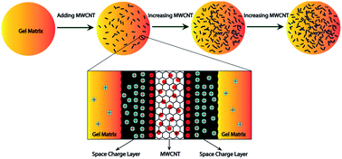 Graphical abstract: Effect of MWCNT nanofiller on the dielectric performance of bio-inspired gelatin based nanocomposites