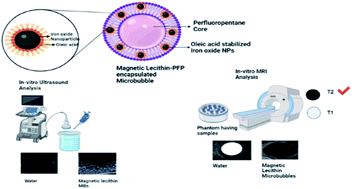 Graphical abstract: Monodisperse magnetic lecithin-PFP submicron bubbles as dual imaging contrast agents for ultrasound (US) and MRI