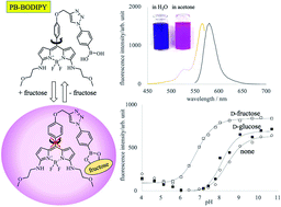 Graphical abstract: A selective hybrid fluorescent sensor for fructose detection based on a phenylboronic acid and BODIPY-based hydrophobicity probe