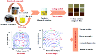 Graphical abstract: Functional property optimization of sodium caseinate-based films incorporating functional compounds from date seed co-products using response surface methodology