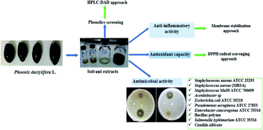 Graphical abstract: HPLC-DAD phenolic screening and in vitro assessment of antimicrobial, antioxidant and anti-inflammatory activities of Tanteboucht dates