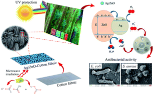 Graphical abstract: Microwave-assisted synthesis of Ag/ZnO nanoparticles using Averrhoa carambola fruit extract as the reducing agent and their application in cotton fabrics with antibacterial and UV-protection properties