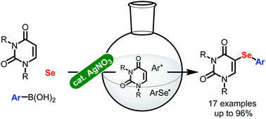 Graphical abstract: Silver-catalyzed three-component reaction of uracils, arylboronic acids, and selenium: synthesis of 5-arylselanyluracils