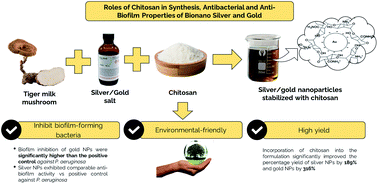 Graphical abstract: Roles of chitosan in synthesis, antibacterial and anti-biofilm properties of bionano silver and gold