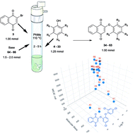 Graphical abstract: Novel one-pot synthesis of a library of 2-aryloxy-1,4-naphthoquinone derivatives. Determination of antifungal and antibacterial activity
