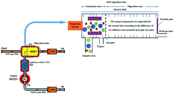 Graphical abstract: Characterization of the volatile organic compounds produced from green coffee in different years by gas chromatography ion mobility spectrometry