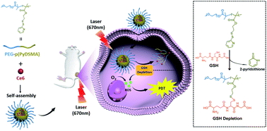 Graphical abstract: Glutathione-depleting polymer delivering chlorin e6 for enhancing photodynamic therapy