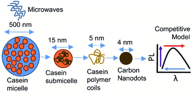 Graphical abstract: Unravelling the highly efficient synthesis of individual carbon nanodots from casein micelles and the origin of their competitive constant-blue-red wavelength shift luminescence mechanism for versatile applications