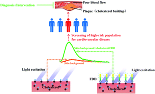 Graphical abstract: A novel fluorescent digitonin derivative for non-invasive skin cholesterol detection: potential application in atherosclerosis screening
