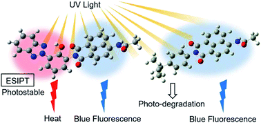Graphical abstract: Synthesis and photophysical properties of photostable 1,8-naphthalimide dyes incorporating benzotriazole-based UV absorbers