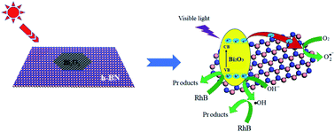 Graphical abstract: Robust photocatalytic activity of two-dimensional h-BN/Bi2O3 heterostructure quantum sheets