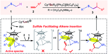 Graphical abstract: Mechanistic insights into rare-earth-catalysed C–H alkylation of sulfides: sulfide facilitating alkene insertion and beyond