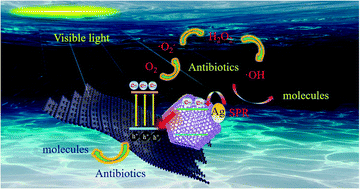 Graphical abstract: Ag@ZIF-8/g-C3N4 Z-scheme photocatalyst for the enhanced removal of multiple classes of antibiotics by integrated adsorption and photocatalytic degradation under visible light irradiation