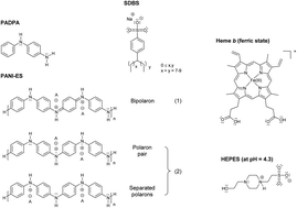 Graphical abstract: Hemin-catalyzed oxidative oligomerization of p-aminodiphenylamine (PADPA) in the presence of aqueous sodium dodecylbenzenesulfonate (SDBS) micelles