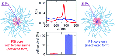 Graphical abstract: Effect of tertiary amino groups in the hydrophobic segment of an amphiphilic block copolymer on zinc phthalocyanine encapsulation and photodynamic activity