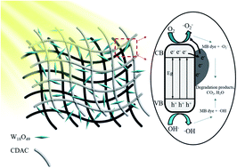 Graphical abstract: In situ fabrication of porous biochar reinforced W18O49 nanocomposite for methylene blue photodegradation