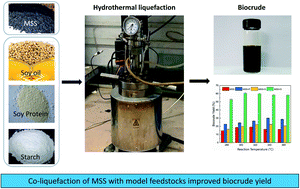 Graphical abstract: Enhanced biocrude production from hydrothermal conversion of municipal sewage sludge via co-liquefaction with various model feedstocks