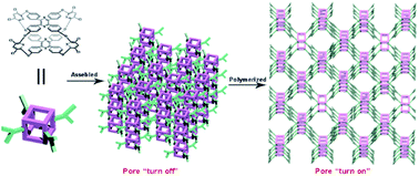 Graphical abstract: Highly covalent molecular cage based porous organic polymer: pore size control and pore property enhancement