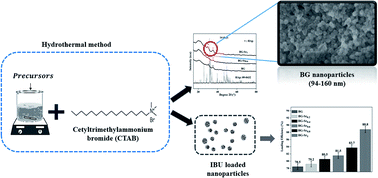 Graphical abstract: Acellular bioactivity and drug delivery of new strontium doped bioactive glasses prepared through a hydrothermal process