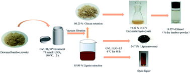 Graphical abstract: Enhancing the potential production of bioethanol with bamboo by γ-valerolactone/water pretreatment
