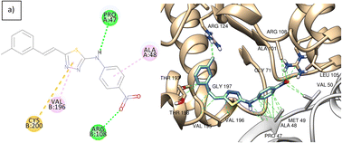 Graphical abstract: Synthesis and characterization of new 1,3,4-thiadiazole derivatives: study of their antibacterial activity and CT-DNA binding