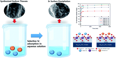 Graphical abstract: Selective strontium adsorption using synthesized sodium titanate in aqueous solution