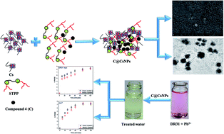 Graphical abstract: Simultaneous removal of Pb2+ and direct red 31 dye from contaminated water using N-(2-hydroxyethyl)-2-oxo-2H-chromene-3-carboxamide loaded chitosan nanoparticles