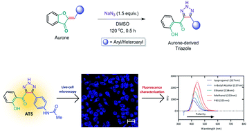 Graphical abstract: Aurone-derived 1,2,3-triazoles as potential fluorescence molecules in vitro