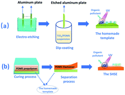 Graphical abstract: Template assisted preparation of silicone (polydimethylsiloxane) elastomers and their self-cleaning application