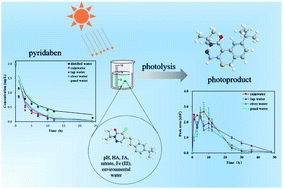 Graphical abstract: Kinetics of the photolysis of pyridaben and its main photoproduct in aqueous environments under simulated solar irradiation