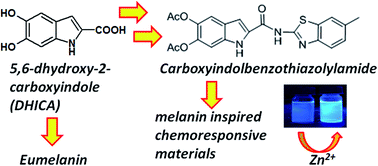 Graphical abstract: Eumelanin pigment precursor 2-carboxy-5,6-dihydroxyindole and 2-amino-6-methylbenzothiazole chromophore integration towards melanin inspired chemoresponsive materials: the case of the Zn2+ ion