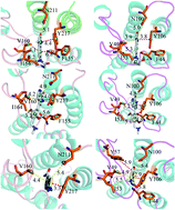 Graphical abstract: Theoretical exploration of the binding selectivity of inhibitors to BRD7 and BRD9 with multiple short molecular dynamics simulations