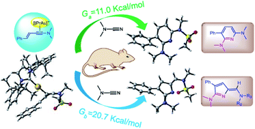 Graphical abstract: Computational exploration for possible reaction pathways, regioselectivity, and influence of substrate in gold-catalyzed cycloaddition of cyanamides with enynamides