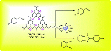 Graphical abstract: TiO2 nanoparticles decorated with Co-Schiff base-g-C3N4 as an efficient photocatalyst for one-pot visible light-assisted synthesis of benzimidazoles