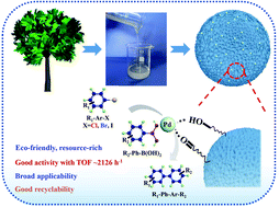 Graphical abstract: Cellulose derived Pd nano-catalyst for efficient catalysis