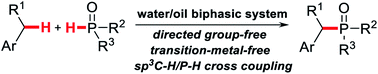 Graphical abstract: Direct phosphorylation of benzylic C–H bonds under transition metal-free conditions forming sp3C–P bonds
