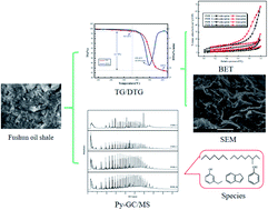 Graphical abstract: Study of the effect of in situ minerals on the pyrolysis of oil shale in Fushun, China