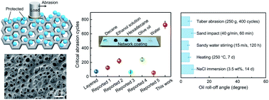 Graphical abstract: Waterborne superamphiphobic coatings with network structure for enhancing mechanical durability