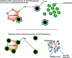 Graphical abstract: Diverse utilization of surfactants in coal-floatation for the sustainable development of clean coal production and environmental safety: a review