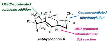 Graphical abstract: Total syntheses of ent-hypocoprin A and ent-hypocoprin B